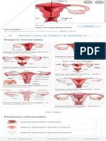 Aparelho Reprodutor Feminino - Pesquisa Google