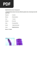 Download makalah cestoda by alifiana_anggraini SN58534886 doc pdf