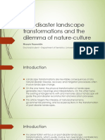 Post-disaster landscape transformations and the dilemma of nature vs culture