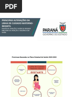 Encaminhamento para Pré-natal de Alto Risco | PDF | Gravidez | Gestação