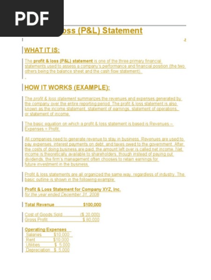 Profit and loss statement