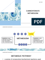 Lesson 7 - Carbohydrate Metabolism