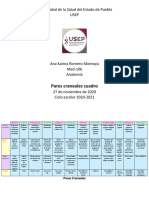 Pares Craneales Cuadro Comparativo