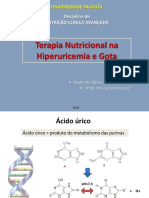 Aula 3 - TN Hiperuricemia e Gota