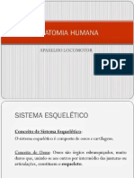 Anatomia Humana - Aparelho Locomotor.pptmusculos
