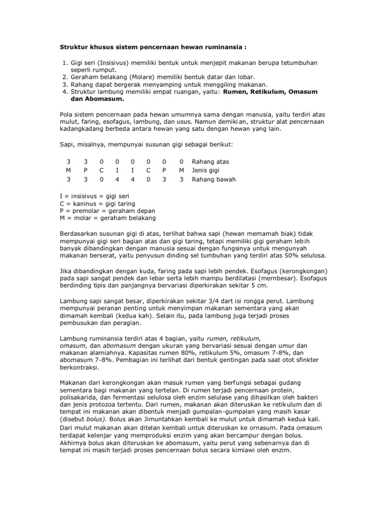 Struktur Khusus Sistem Pencernaan Hewan Ruminansia