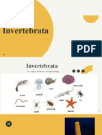 Invertebrate
