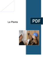 La Planta