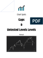 CS Gaps-UntestedLevels Manual 20200503
