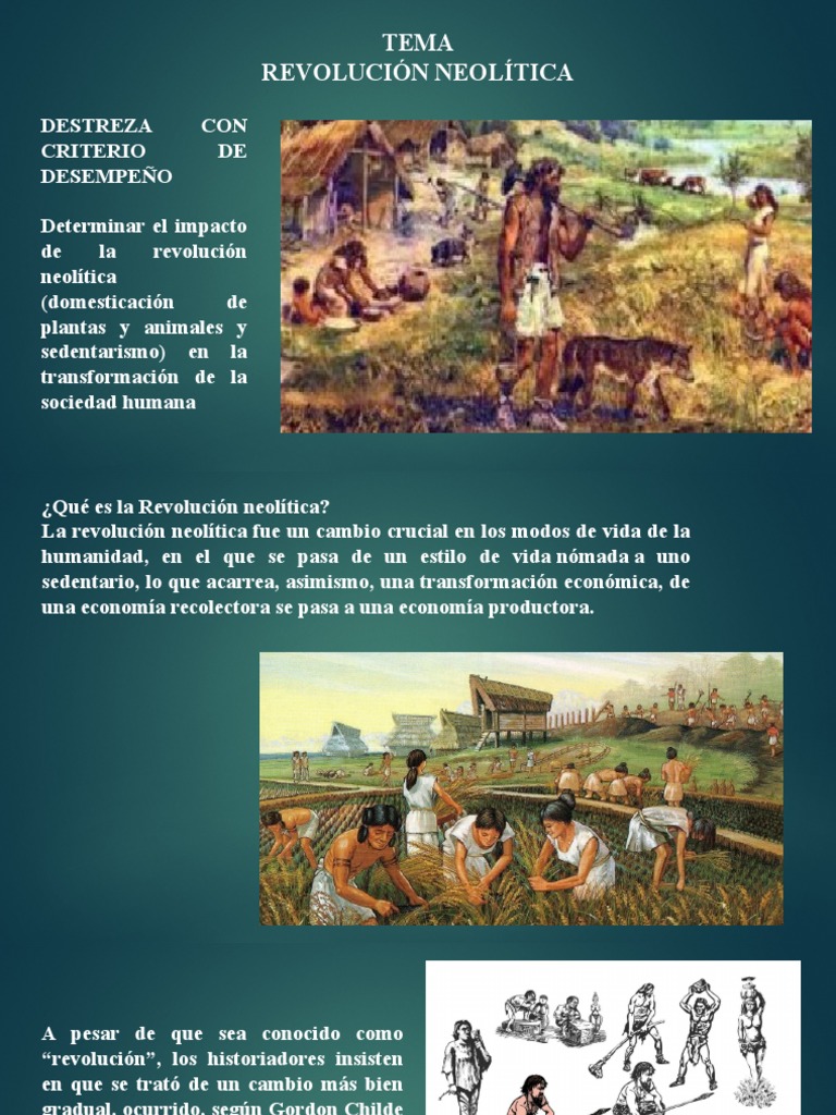 «LA REVOLUCIÓN NEOLÍTICA «.- ORÍGENES DEL ESTADO, EL PATRIARCADO Y LA  DESIGUALDAD SOCIAL CON RAÚL CRUZ (Autor del libro del mismo nombre). –  Federación Anarquista, image size:768x1024