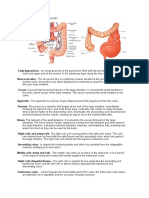 ANATOMY AND PHYSIOLOGY OF THE GASTROINTESTINAL TRACT