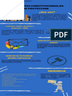 Mecanismos Constitucionales de Proteccion