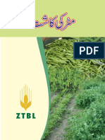 مٹر کی کاشت Ztbl