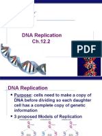 DNA Replication 2014 Ppt