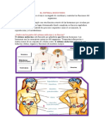 EL SISTEMA ENDOCRINO El Sistema Nervioso No Es El Único Encargado de Coordinar y Controlar Las Funciones Del Organismo