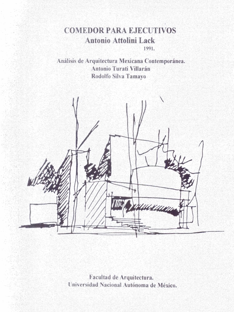 Antonio Attolini Lack Libro | PDF