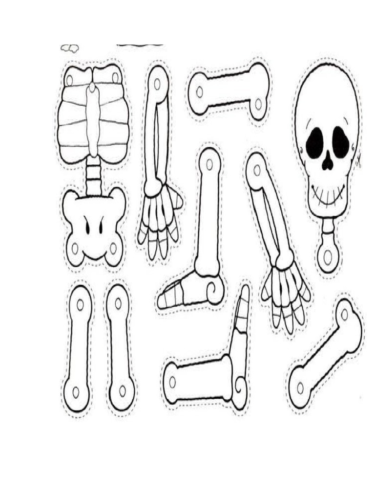 Esqueleto Movible | PDF