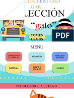 170) LenguajeEnTuHogar - Lección Gato