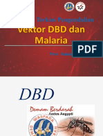 Situasi DBD Dan Malaria Di Sumsel