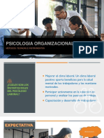 Psicologia Organizacional