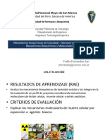 Mecanismos Bioquímicos de Toxicidad I.1