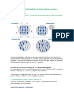 Cómo Entrevistar A Una Persona Con Discapacidad