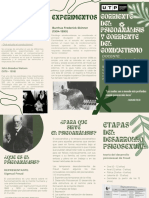 Flyer Folleto Triptico Plantas Vivero Divertido Moderno Orgánico Verde