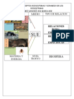 Tabla Relaciones Ecologicas