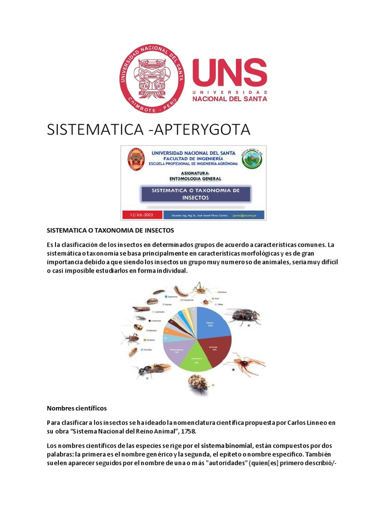 Sistemática de los insectos apterigotos: una visión general de las ...