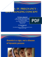 Anemia Pregnancy