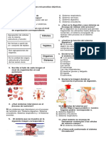 CUESTIONARIO Salud Ocupacional