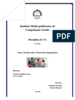 Teoria de Administracao_Estudo sobre Teoria das Organizações