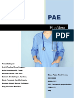 PAE Enfermería-2