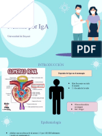 Glomerulopatias 2  