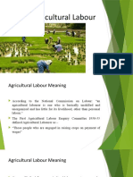 Agricutural Labourer Meaning
