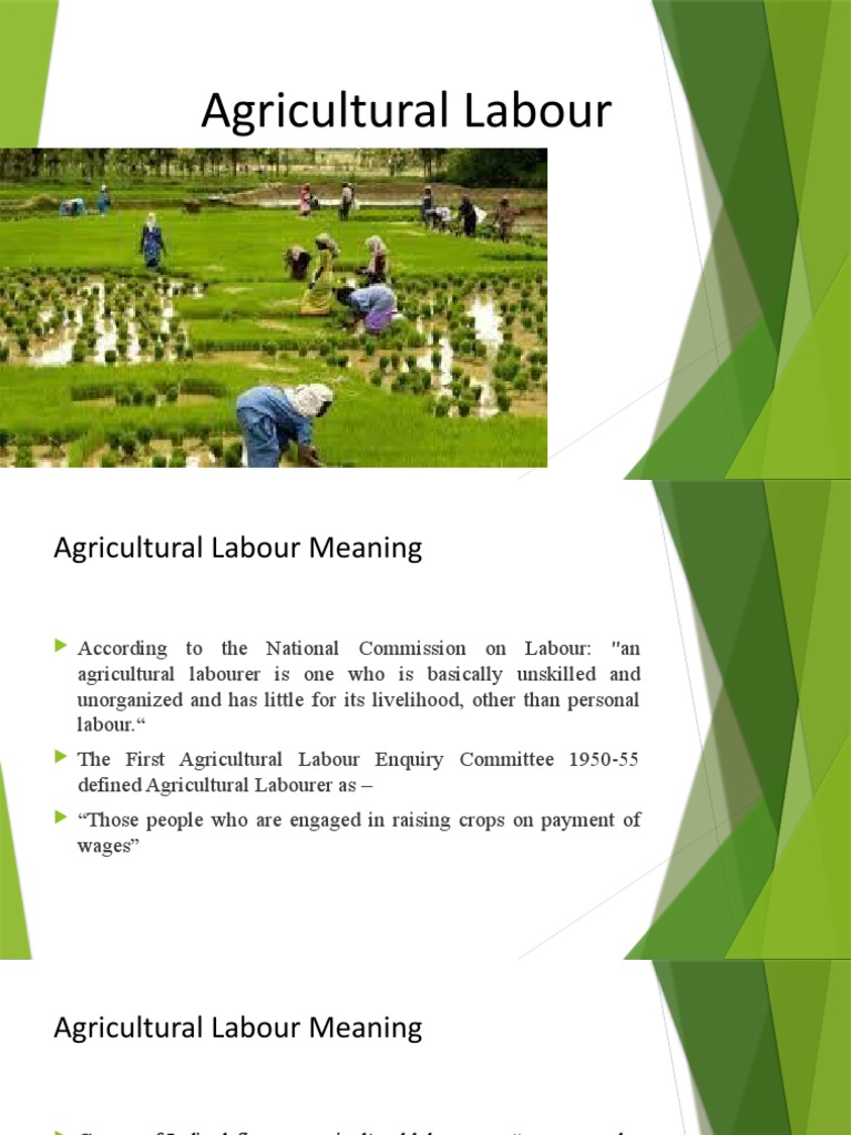 Agricutural Labourer Meaning PDF