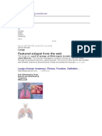 Featured Snippet From The Web: Lungs