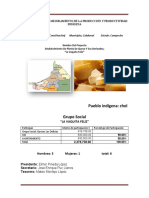 PROGRAMA PARA EL MEJORAMIENTO DE LA PRODUCCIÓN Y PRODUCTIVIDAD INDÍGENA