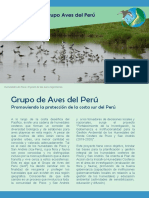 Articulo Grupo de Aves Del Peru