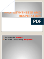 Chapter 1. Photosynthesis and Respiration