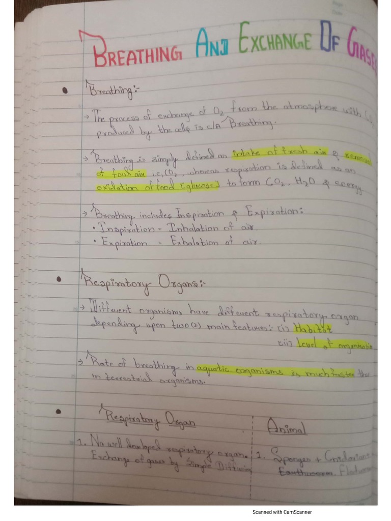 Respiration Notes ... | PDF
