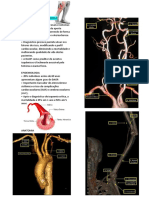 DAOP: Diagnóstico e Tratamento da Doença Arterial Obstrutiva Periférica
