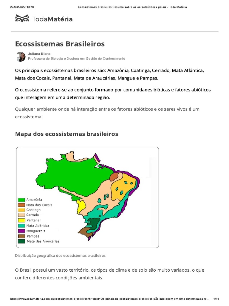 Resumo  Planejativo