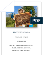 Proyecto Apicola - Finanzas Ii