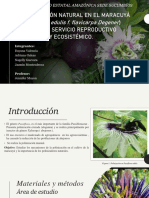 Polinización de Passiflora Edulis