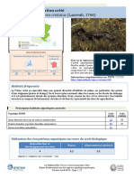 Triturus Cristatus-139 - Avril2013