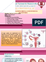 Placenta previa e insuficiencia placentaria: causas, clínica y consecuencias