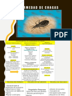 Enfermedad de Chagas: definición, transmisión, fases y diagnóstico