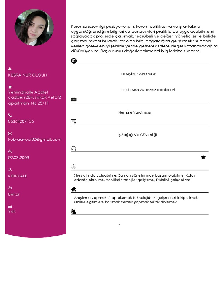 Kübra CV | PDF
