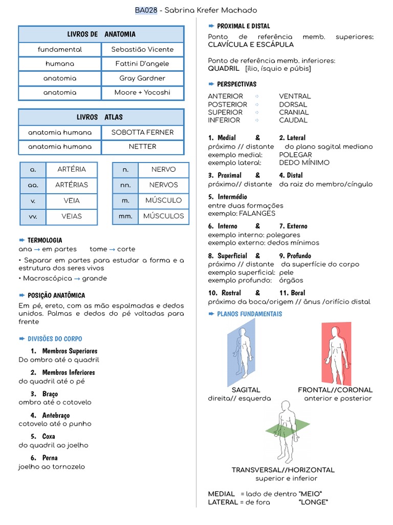 Anatomia Pdf Esqueleto Osso